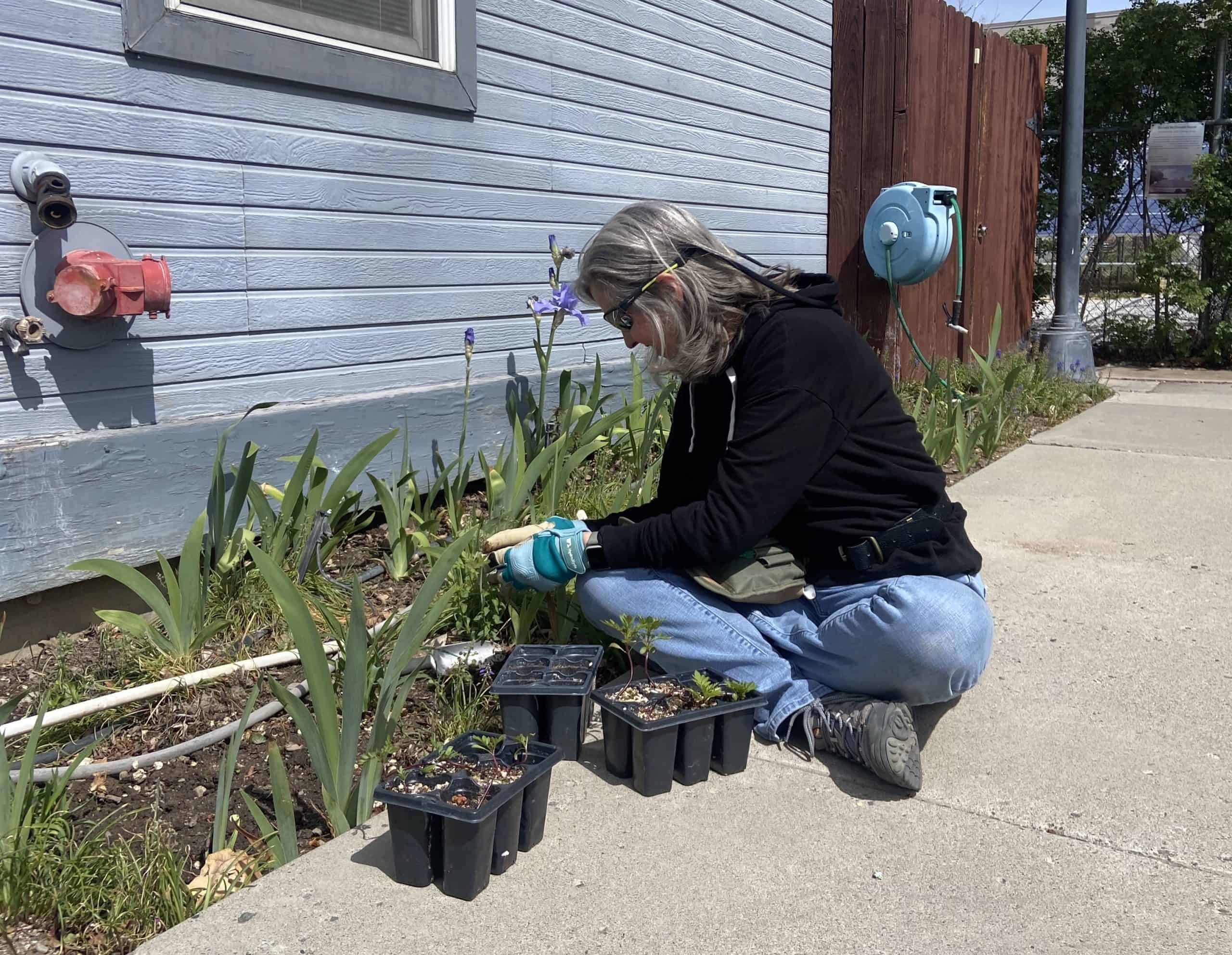 Woman planting flowers at Ronald McDonald House.